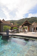 tropical swimming pool