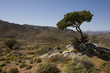 Richtersveld National Park, South Africa.