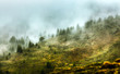 canvas print picture - No weather for photographers?