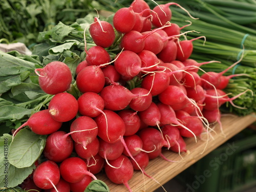 Photo: Radish bunches Radish bunches