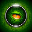 Eye of reptiles