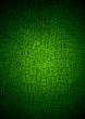 The texture of crocodile