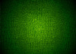 The texture of crocodile