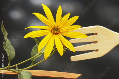 Photo: 뚱딴지 Jerusalem artichoke 洋姜 Helianthus tuberosus 뚱딴지 Jerusalem artichoke 洋姜 Helianthus tuberosus