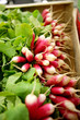 Foto: Box of radishes Box of radishes
