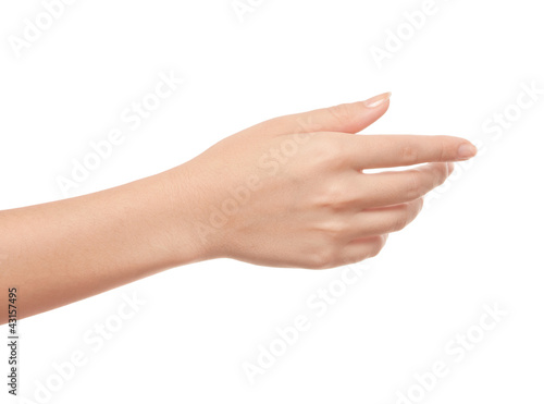 Photo: Empty open woman hand on white background Empty open woman hand on white background