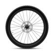 Bicycle wheel