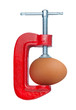 clamp compresses the egg