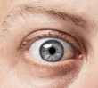 Closeup of a blue eye, of a Caucasian man