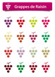 Grappes de Raisin Multicolores