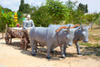 Photo : Monument to Cossack in a cart with the bulls Monument to Cossack in a cart with the bulls