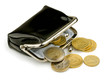 Purse with some euros coins