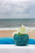 Photo: Beach Flower Beach Flower