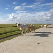 Photo: Nordsee Nordsee