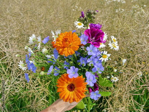 Photo: Wildblumen Strauß Wildblumen Strauß