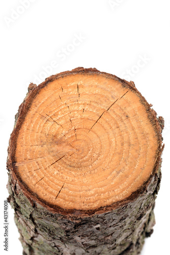 Foto: Holz Holz