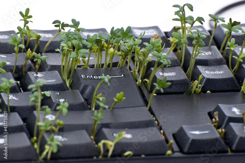 cress keyboard