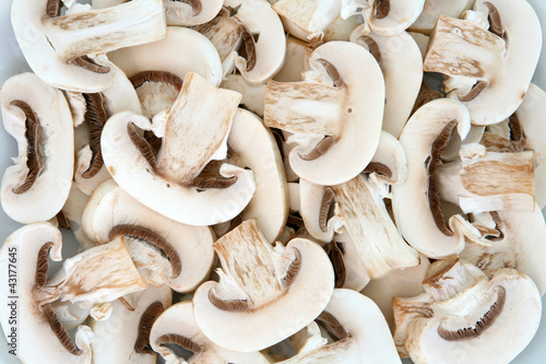 Photo: Mushrooms Mushrooms