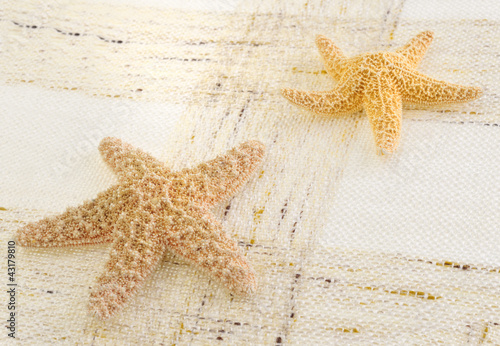 Photo: starfish starfish