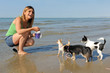 chihuahuas and girl on the beach