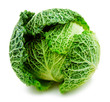 cabbage