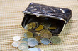 Russian coins in your purse