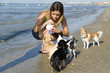 chihuahuas and girl on the beach