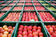 Obstkisten