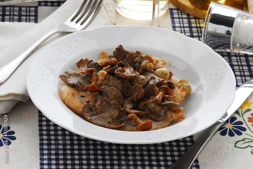 Foto: 肉类和蘑菇 Meat and mushrooms Carne e funghi 고기와 버섯 肉类和蘑菇 Meat and mushrooms Carne e funghi 고기와 버섯