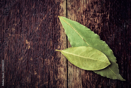 Photo: Bay leaves on rustic wooden background Bay leaves on rustic wooden background