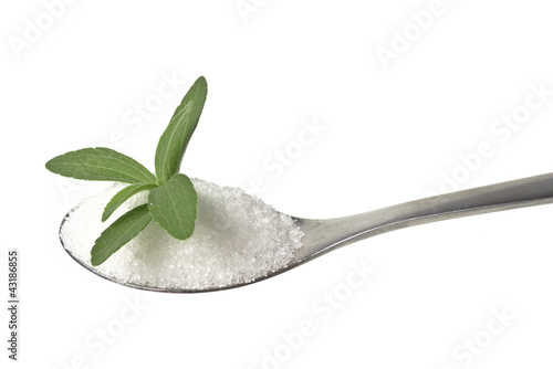 Photo: stevia rebaudiana on a teaspoon stevia rebaudiana on a teaspoon