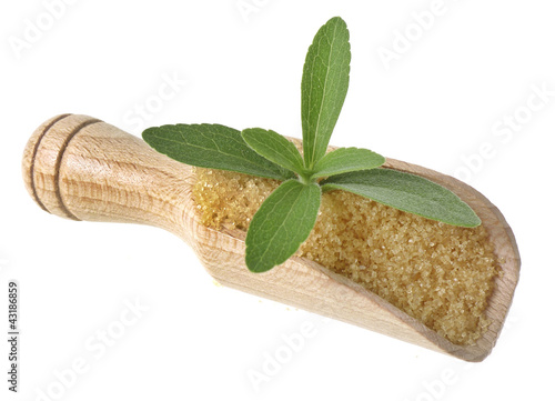 Photo: stevia rebaudiana healthy herb with no sugar stevia rebaudiana healthy herb with no sugar