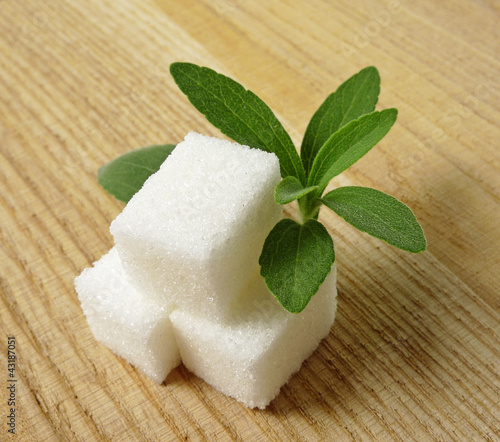 Photo: stevia rebaudiana and sugar on wooden background stevia rebaudiana and sugar on wooden background