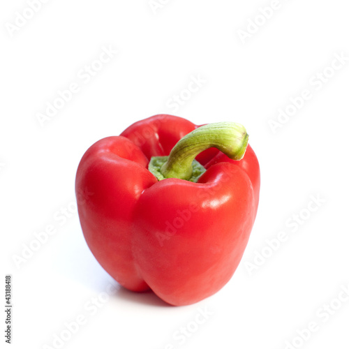 Photo: poivron piment paprika rouge poivron piment paprika rouge