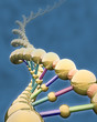 Golden DNA Chains