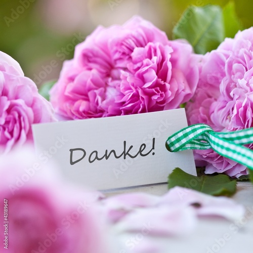 Photo: Danke! Danke!