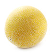 Cantaloupe Melon
