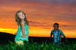 group of happy children playing on meadow, sunset, summertime