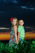 group of happy children playing on meadow, sunset, summertime