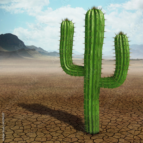 Illustration: Cactus in the desert Cactus in the desert