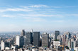 city of sao paulo