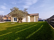 villa moderna con muri di pietra e un ulivo nel giardino