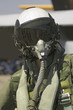 Photo: Dummy Jet Pilot with flight suit posing at the 42nd Naval Base Ventura County (NBVC) Air Show at Point Mugu, Ventura County, Southern California. Dummy Jet Pilot with flight suit posing at the 42nd Naval Base Ventura County (NBVC) Air Show at Point Mugu, Ventura County, Southern California.