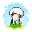 Vector: Vector illustration of mushrooms Vector illustration of mushrooms