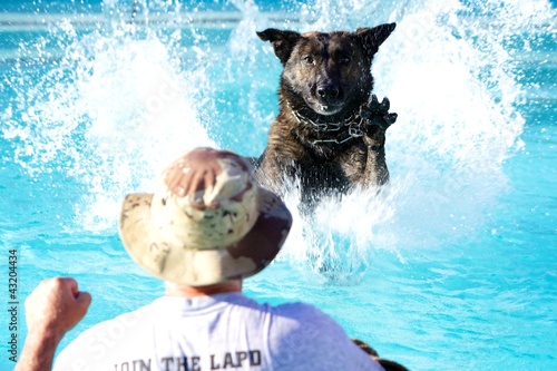 Photo: Splash Splash