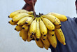 Yellow Delicious Banana
