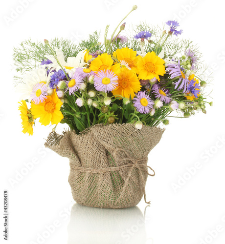 Фото: beautiful bouquet of bright wildflowers in flowerpot, isolated beautiful bouquet of bright wildflowers in flowerpot, isolated