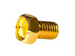 Gold screw