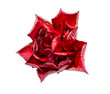 Red Rose