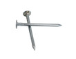 Two galvanized nail